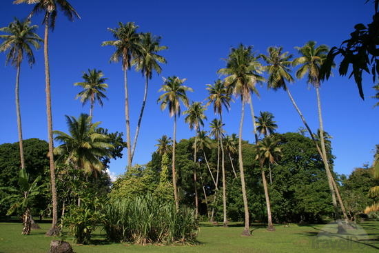 tahiti-botanical-garden